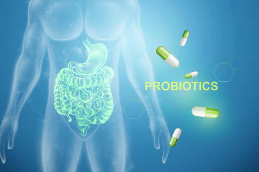 Graphics of human gut with Probiotics text